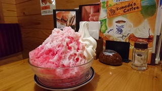 DSC_0789.JPG