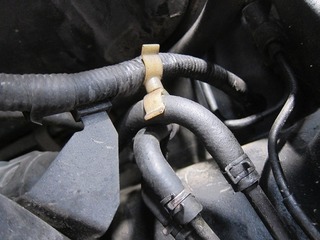 IMG_3757.jpg