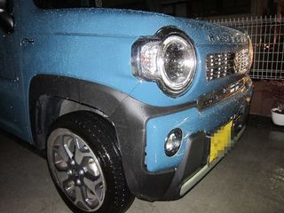 IMG_3827.jpg