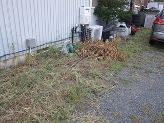 s-IMG_1508.jpg