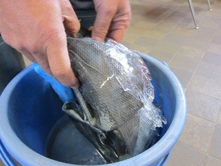 s-IMG_8275.jpg